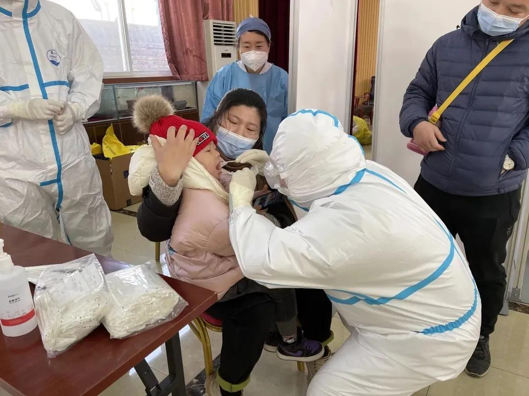 这里的玉兰花开了