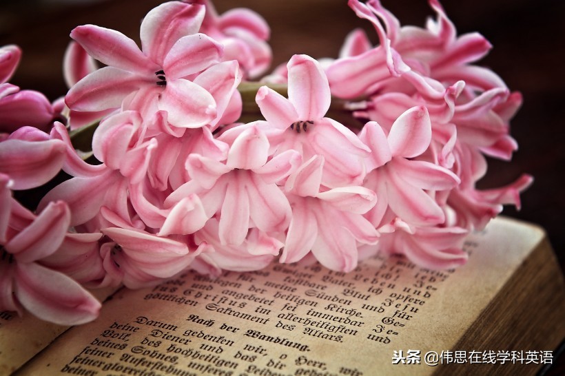 学校教师安静教书,校长和教师该如何坚守教育的定力