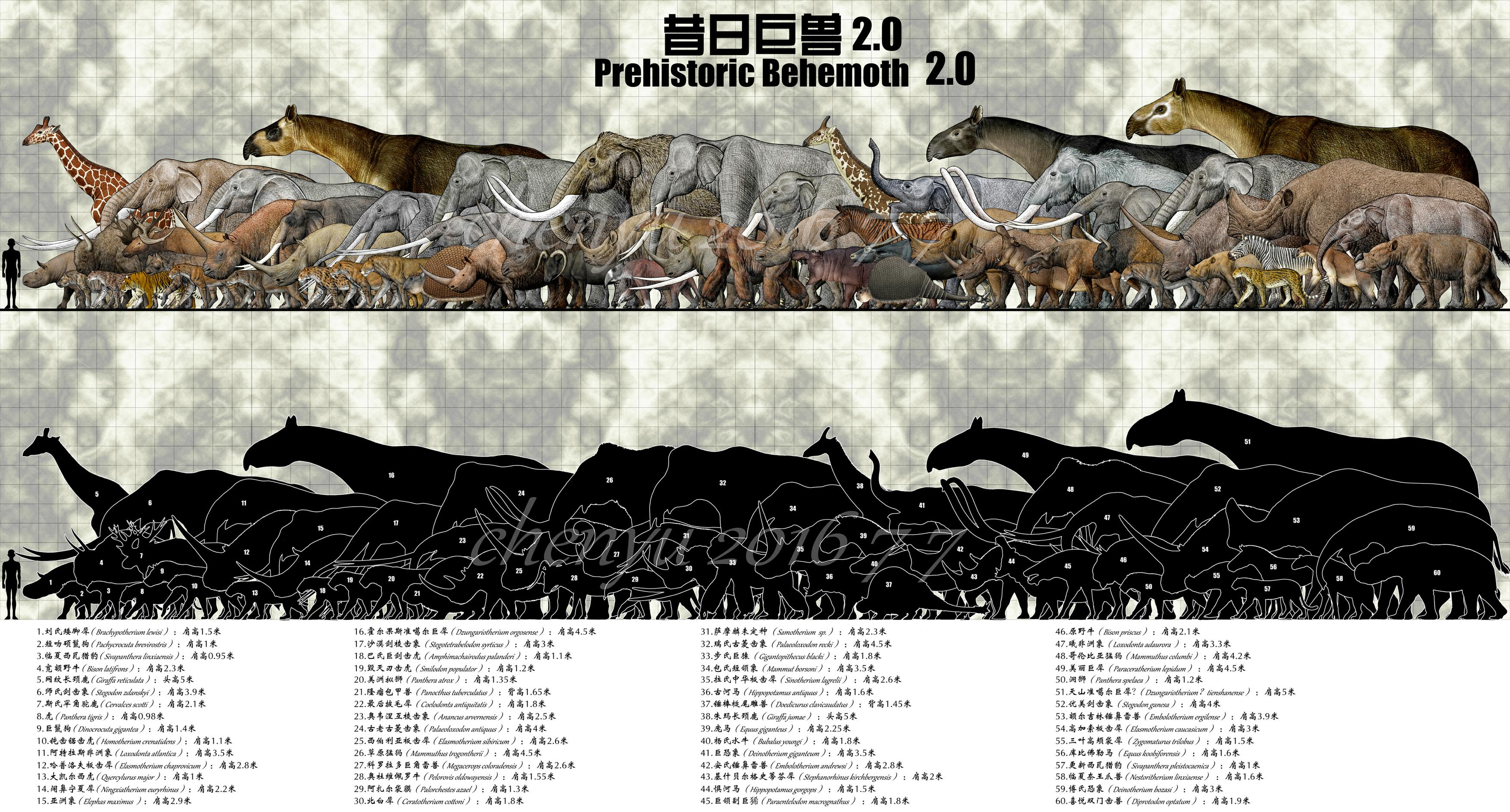 海洋生物的进化发展史,海洋生物演化过程