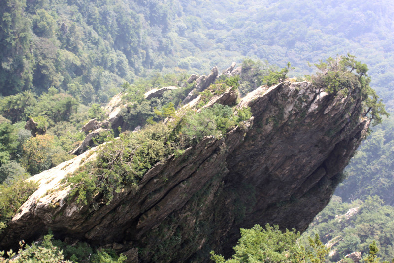 天下第一仙山洛阳老君山,天下奇山老君山视频