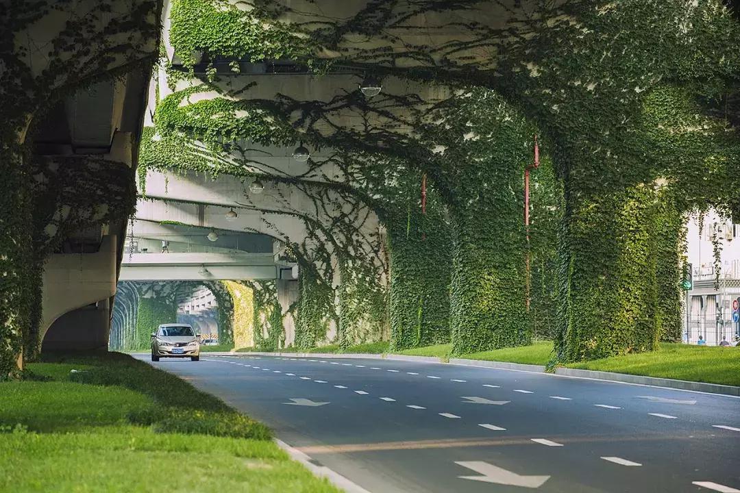 成都的干净程度,成都的街道名为什么好听