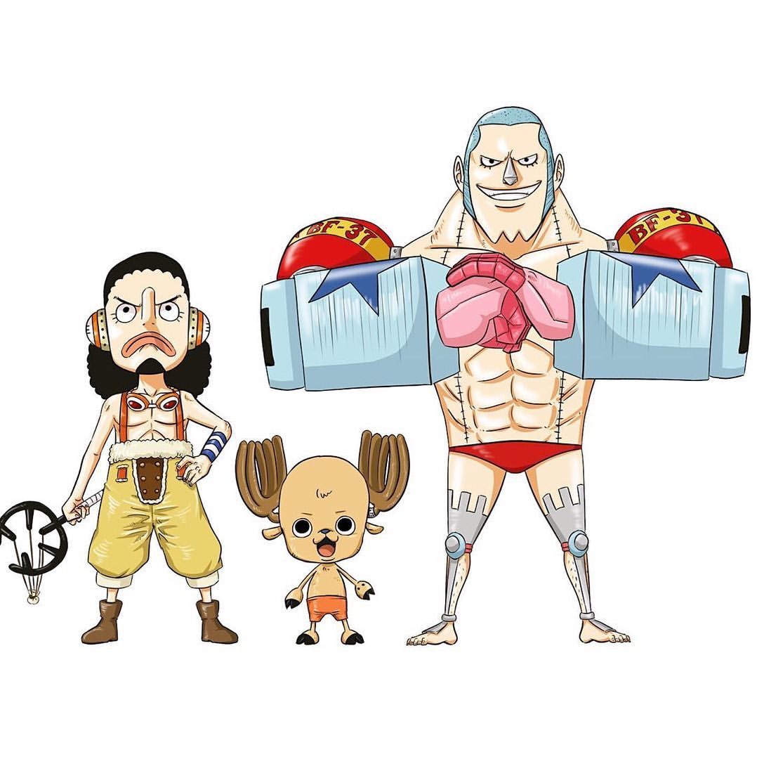 海贼王草帽团乔巴,海贼王罗宾与乔巴视频