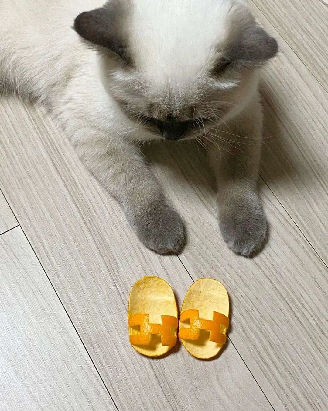 煤老板爆红完整版,煤老板ins