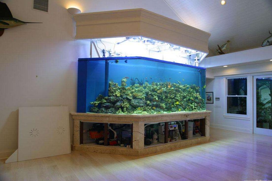 鱼缸噪音太吵怎么解决,鱼缸底滤噪音大还是上过滤噪音大