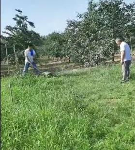 果园割草机哪一款最好,新型果园割草机