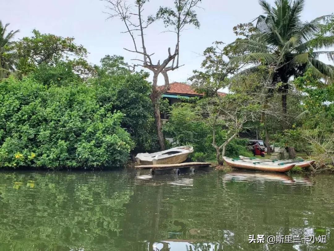 这座隐居别墅，上过设计杂志得过奖，是一位低调女主人的私宅