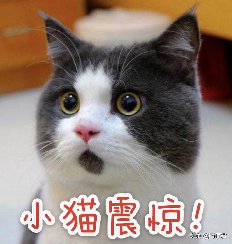 龙利鱼跟巴沙鱼怎么辨别,龙利鱼和巴沙鱼如何辨别