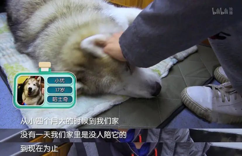 b站高分历史纪录片,2分钟一集的b站纪录片