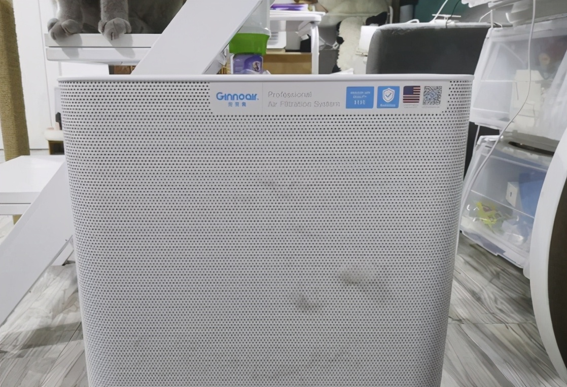 打造人宠共乐的家—“铲S官”的装修笔记