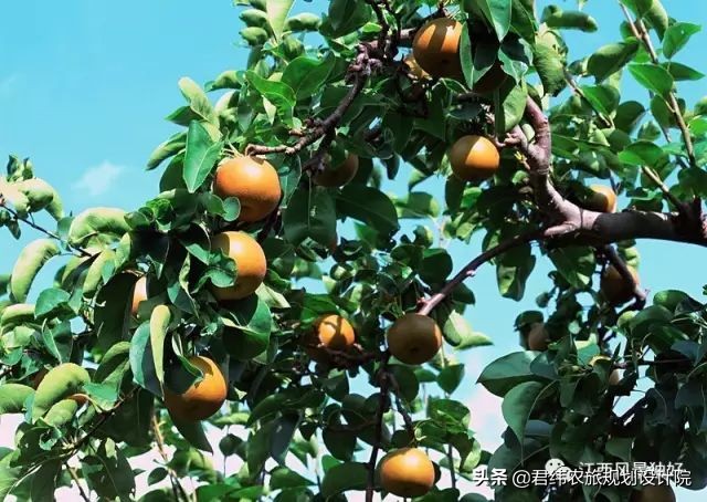 走遍江西100个县抚州,走遍江西100县铅山