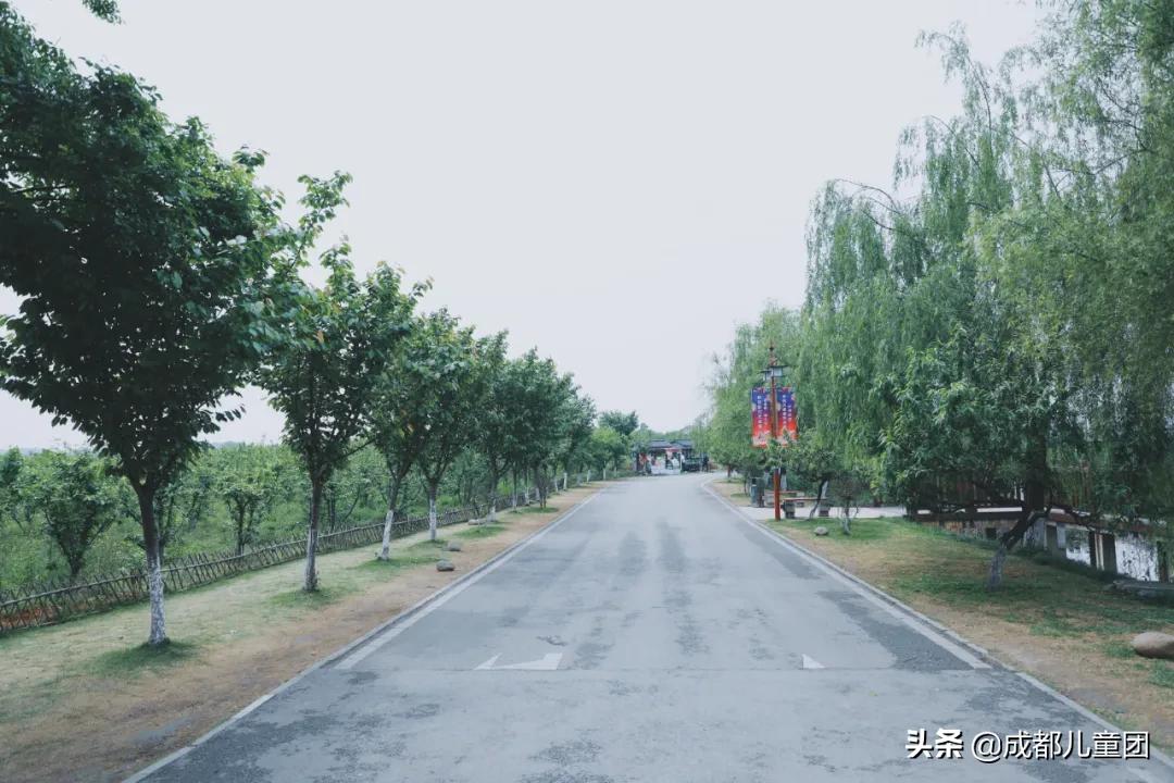 空港花田和空港体育公园哪个好,空港运动公园看飞机攻略