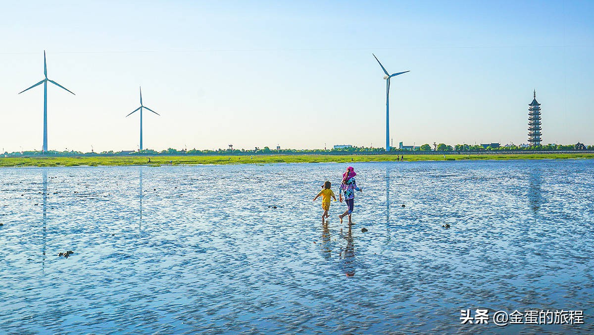 上海奉贤周末带娃好去处10岁左右,上海奉贤周末遛娃好去处推荐