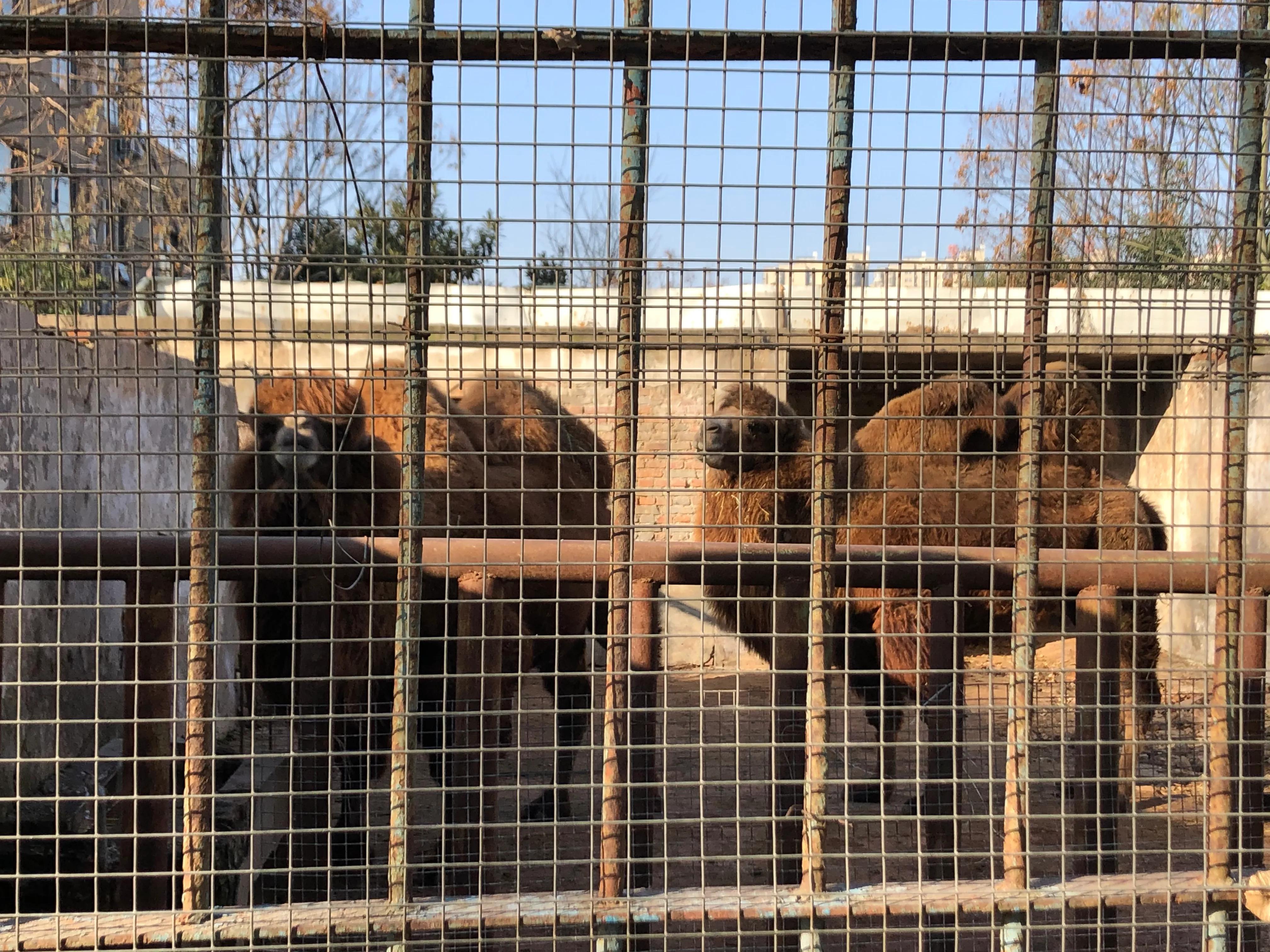 平顶山河滨公园旅游攻略,平顶山森林公园游记