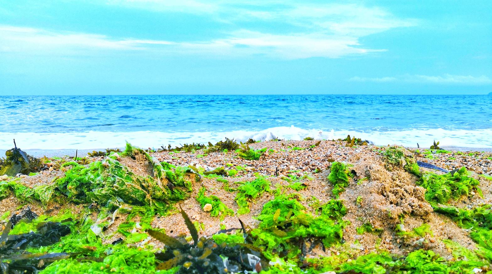 都是网红惹的祸,都是网红惹的祸完整版