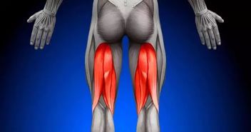 被你冷落的腘绳肌，也许是你能够无伤运动、提升运动表现的关键