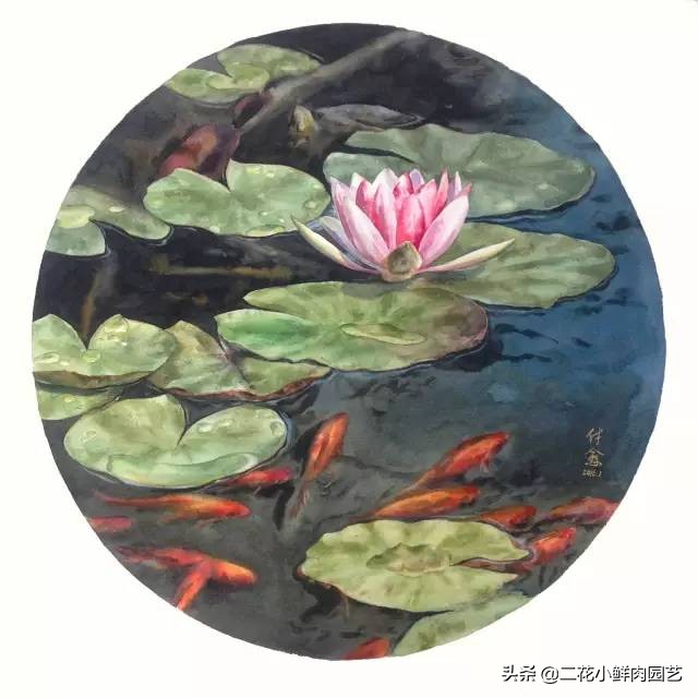 100种花卉绘画,100多张花卉线描手稿素材赶快收藏