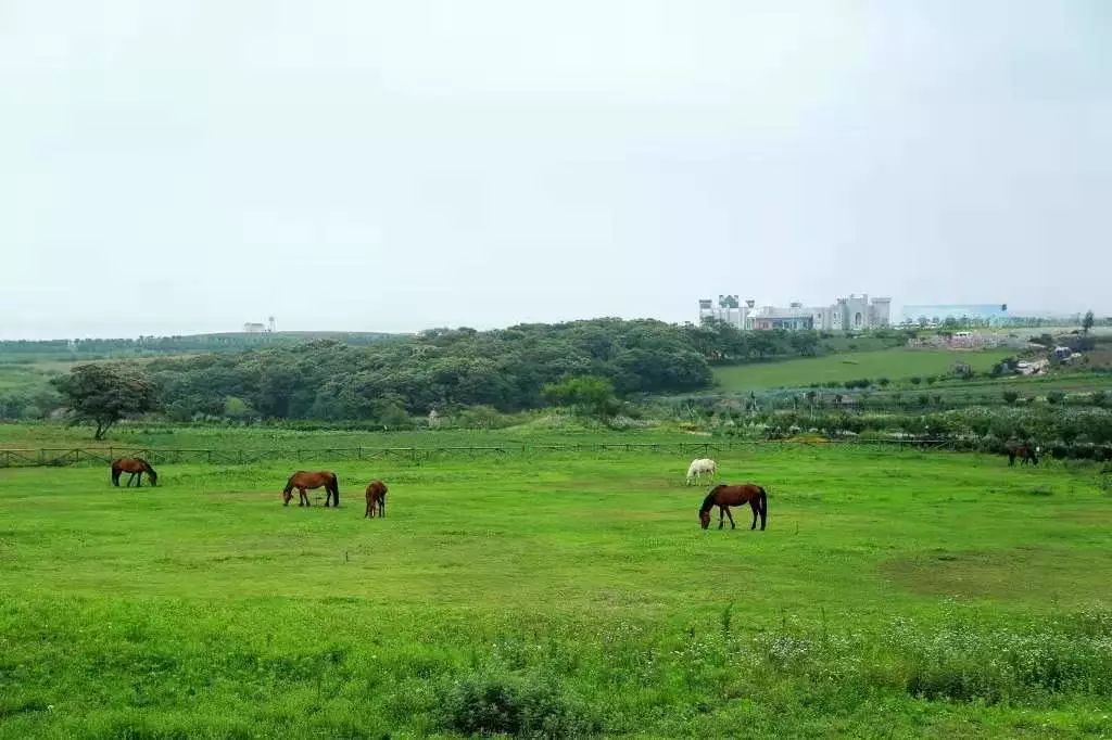 中国之美惊艳全世界,中国之美镜头视频
