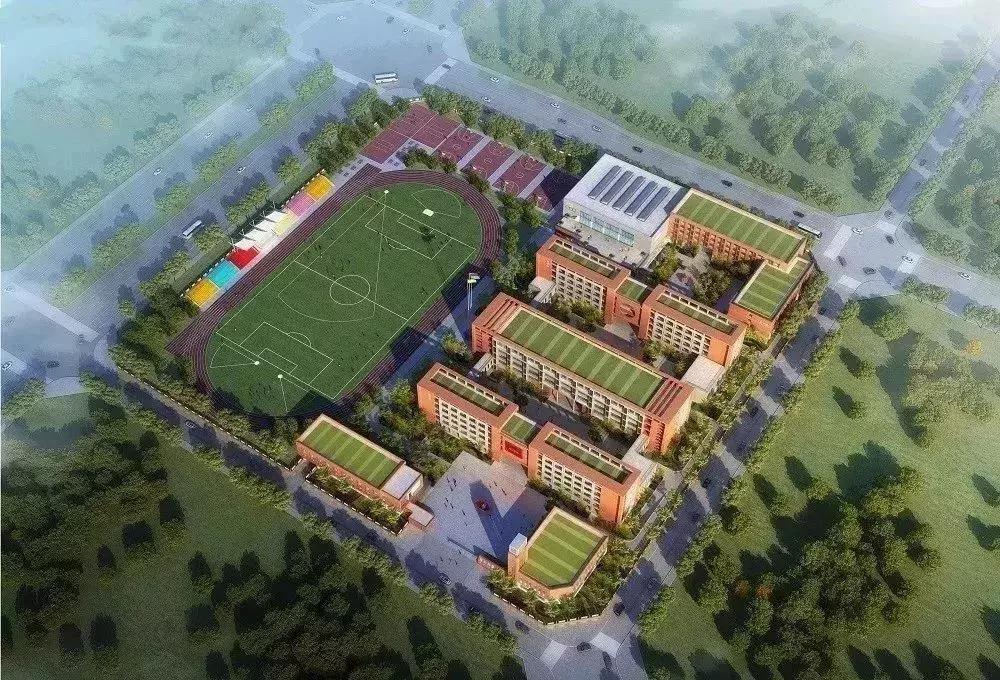 西安挤破头都想进的小学有哪些,南京家长挤破头想上的初中