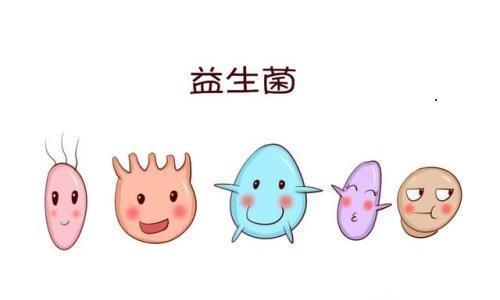 哪个成人奶粉容易长胖,宝宝吃奶粉容易长胖吗