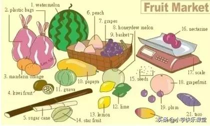 小学一二年级英语单词分类汇总,小学英语高效学习方法和技巧