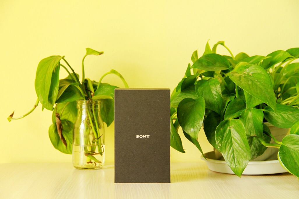 索尼nw-zx300a和苹果手机音质对比,索尼nw-zx300a音效设置