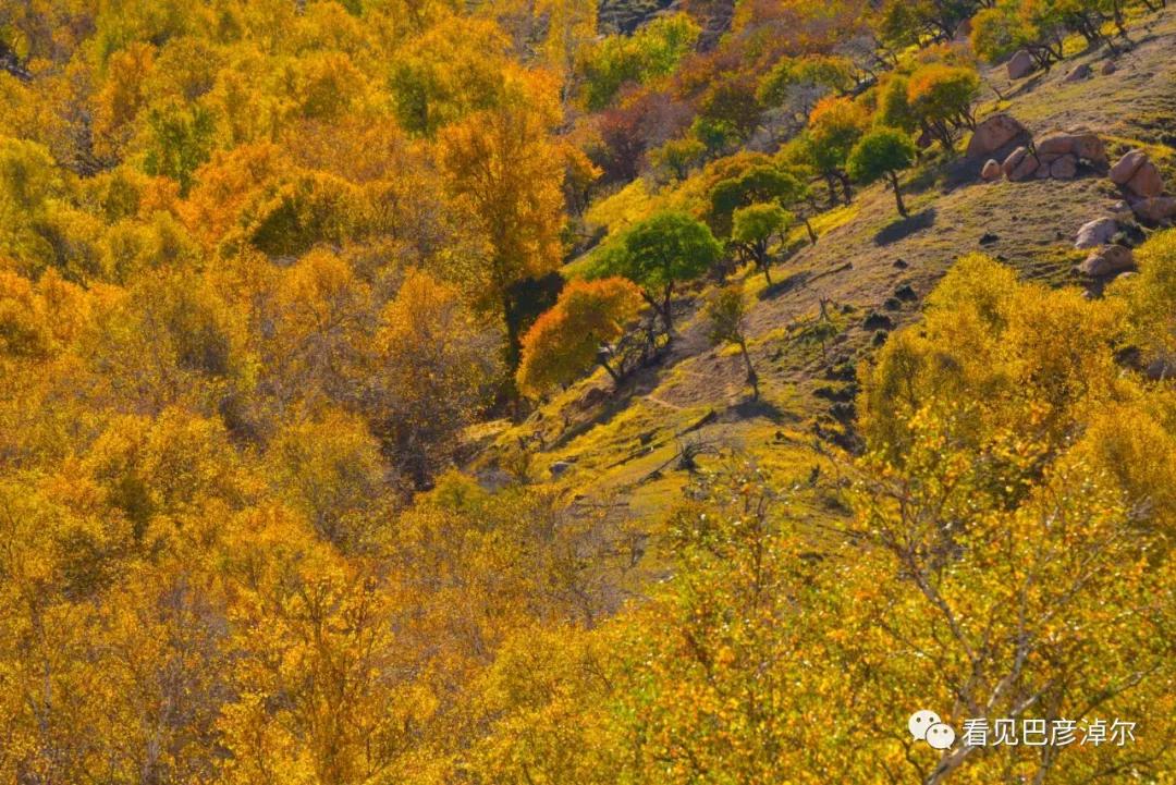 七分钟带你领略大美乌拉特前旗 (带你去看乌拉特前旗)