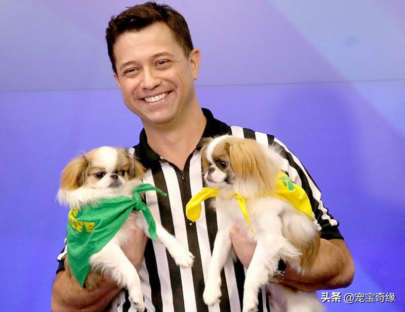 缇庡浗鐘被澶ц禌,缇庡浗鐙楃嫍姣旇禌缁艰壓