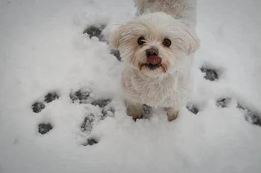 天降巨款的背后,天降五亿巨款是真的吗