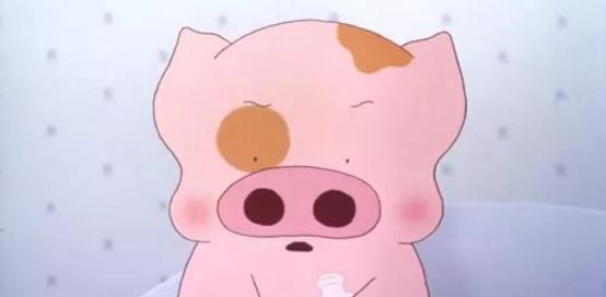 麦兜几岁,麦兜出生