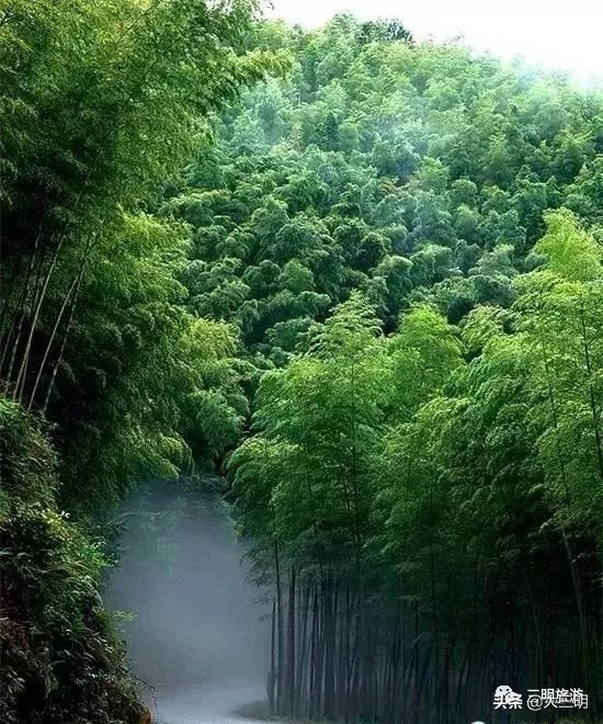 中国绿都最氧三明春回大地,大武夷旅游绿都三明