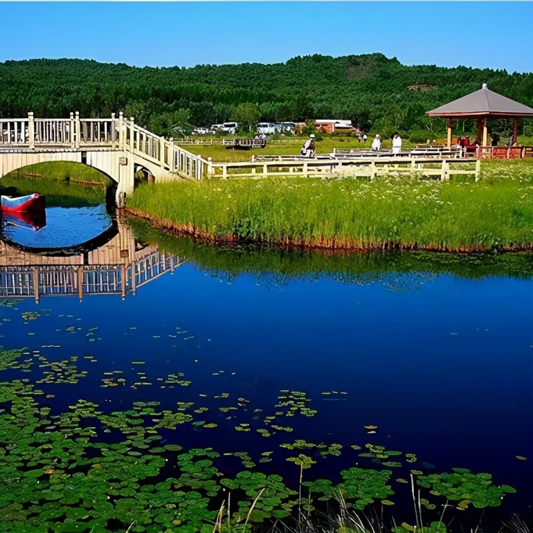 鄂尔多斯去天津最佳路线,青岛到鄂尔多斯最佳路线