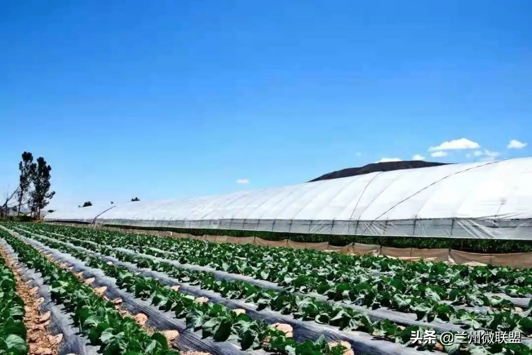 五一假日攻略西固,五一假日攻略兰州西固周边