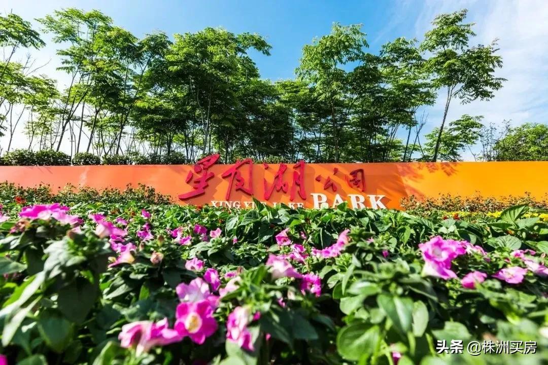 鏍床姝﹀箍鏂板煄鐨勫績澶磋倝,姝﹀箍鏂板煄鏍床