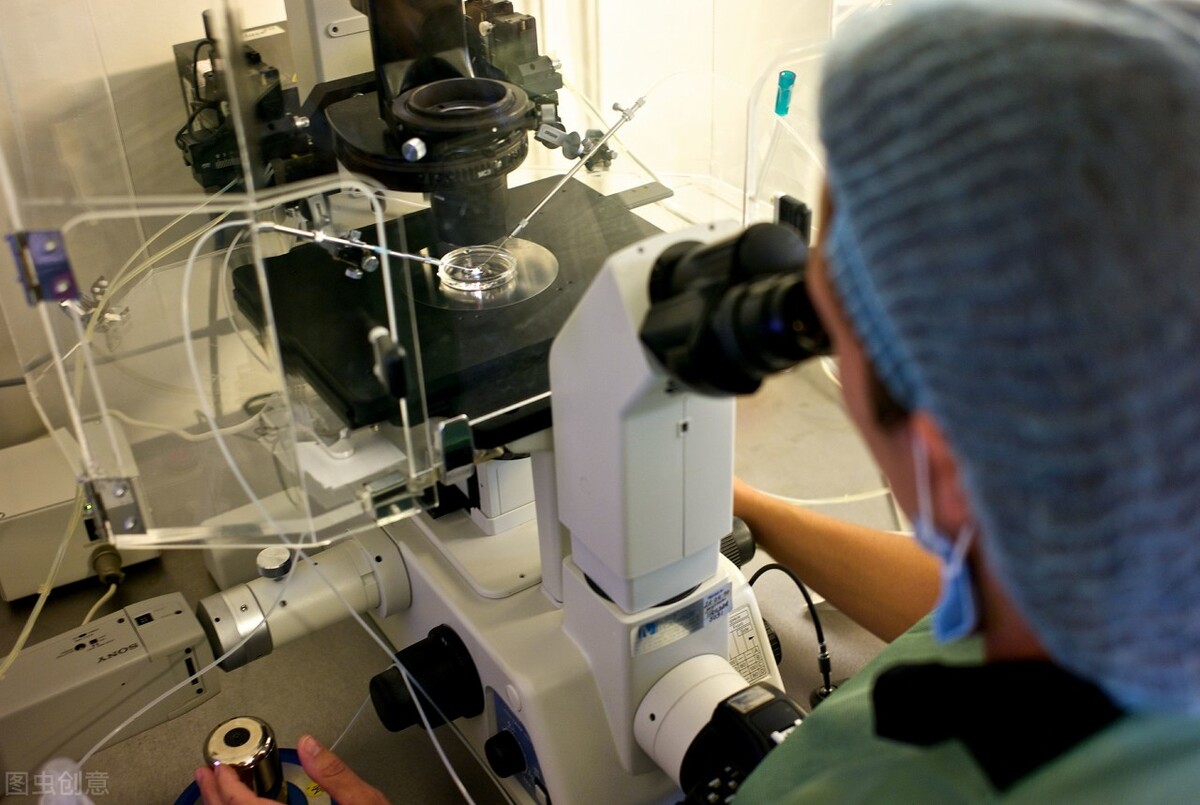 试管婴儿移植冻胚前有什么流程,自然周期冻胚移植为什么要打hcg