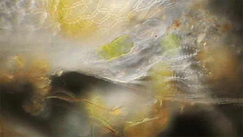 脚臭又脱皮，为什么脚气问题这么难解决？