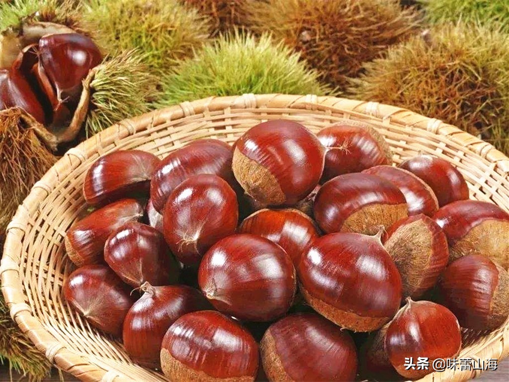 板栗怎么储存才能放得更久,板栗怎么保存可以放得更长久