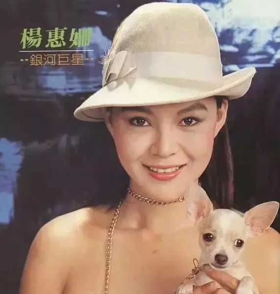 人各有志明星,与任泉有点相像的男明星