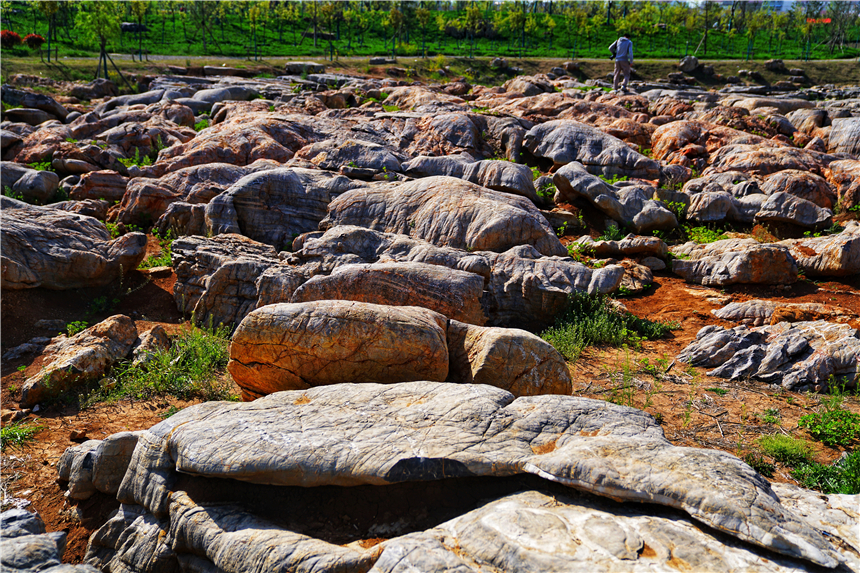 我和宿州有个约会，一场花事，一次慢旅行，探寻最烟火的宿州味道