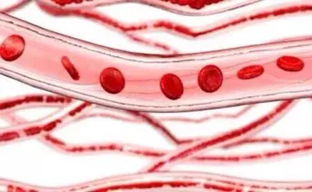 发现贫血应到什么科检查,发现贫血应从哪些方面找原因