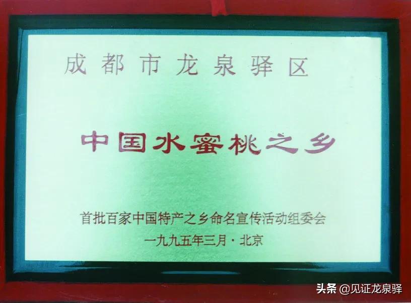 中国*产党共**龙泉驿历史