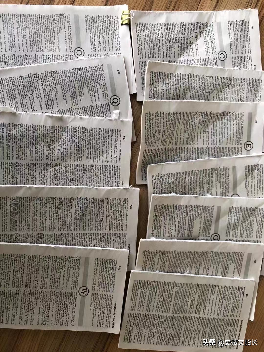 英文shit的中文意思是什么,英语shit的意思是