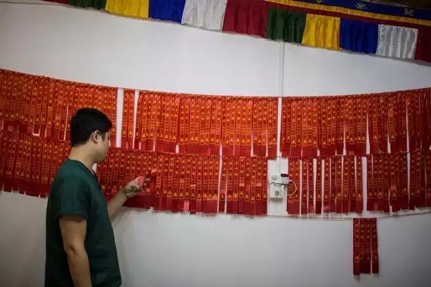 宠物走了怎么安慰高情商,宠物离去怎么走出去