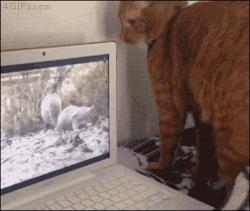 30秒搞定海报,一张海报做10秒酷炫视频