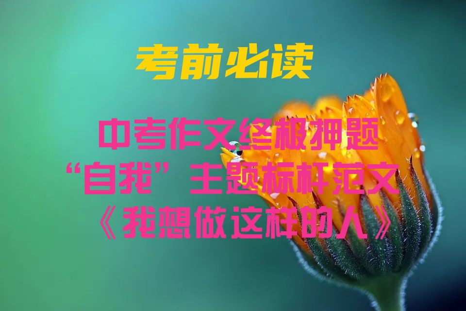 2024中考押题作文做最好的自己,综合素质作文押题范文