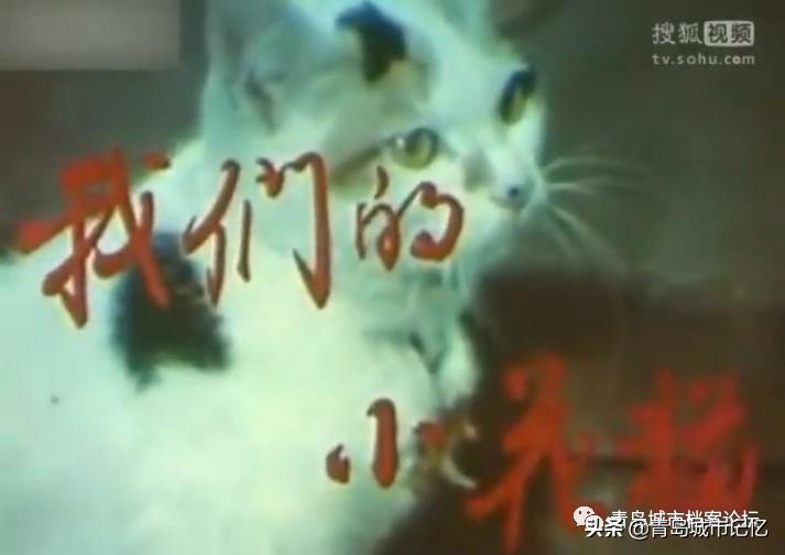 曾经在青岛拍摄过的少儿题材电影,青岛拍摄的儿童电影