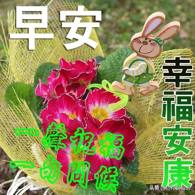 早上好问候祝福语暖心句子图片,特别暖心的早上好祝福语图片图文