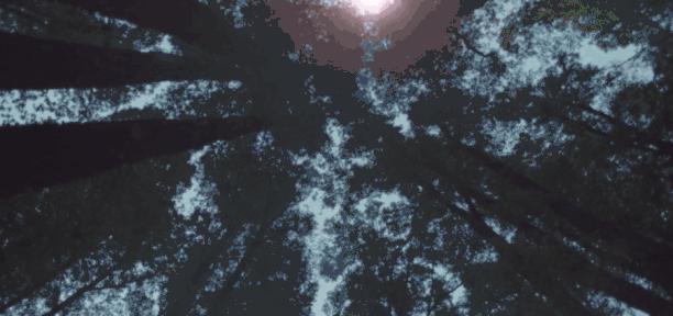 双十二聚划算百亿补贴抢苹果,双12百亿补贴有活动吗