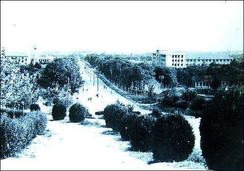 杨凌以后还有发展吗,杨凌未来十五天天气