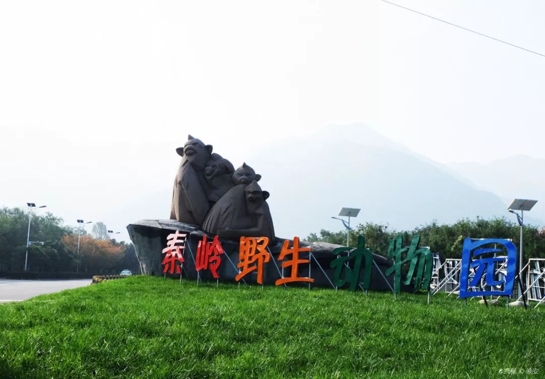 游玩半价票,0元门票玩上海