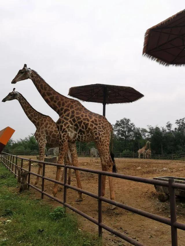 山东济南可以游玩的地方,山东济南好玩十个景点你知道哪些